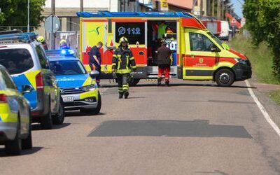 Dölzig bei Leipzig: Tierschützer fordern nach Ausbruch von Tiger ein Durchgreifen der Bundesregierung
