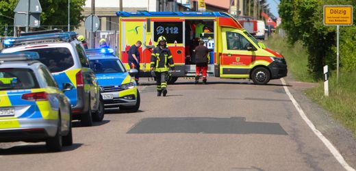 doelzig-bei-leipzig-tierschuetzer-fordern-nach-ausbruch-von-tiger-ein-durchgreifen-de6a0b2c956f279.jpg Dölzig bei Leipzig: Tierschützer fordern nach Ausbruch von Tiger ein Durchgreifen der Bundesregierung