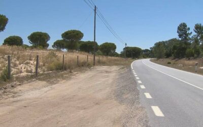 Mit Obst und Wasser: Eltern setzen Kinder (3 und 5) in Portugal aus