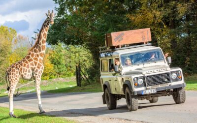 BILD Coupon: Am 30. & 31. Mai ab 13:30 Uhr freien Eintritt in den Serengeti-Park