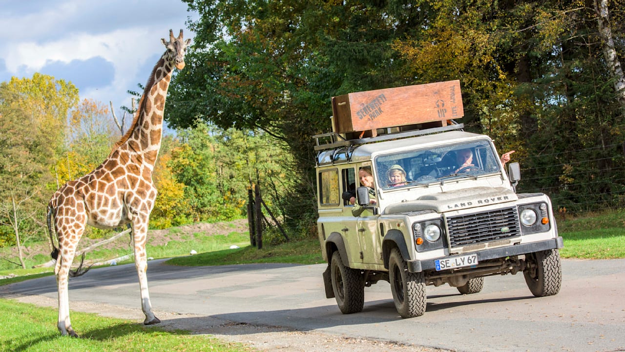 BILD Coupon: Am 30. & 31. Mai ab 13:30 Uhr freien Eintritt in den Serengeti-Park