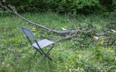 Tödliches Drama in Stuttgart: Mann beim Picknick von Ast erschlagen