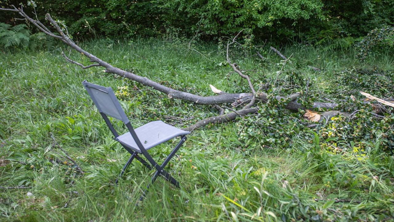 toedliches-drama-in-stuttgart-mann-beim-picknick-von-ast-erschlagen.jpg Tödliches Drama in Stuttgart: Mann beim Picknick von Ast erschlagen