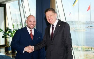 AfD: Was sich die Partei von ihrer Russland-Mission verspricht