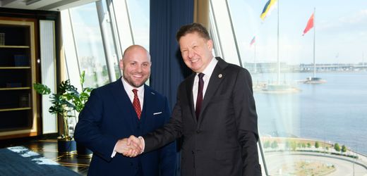 AfD: Was sich die Partei von ihrer Russland-Mission verspricht