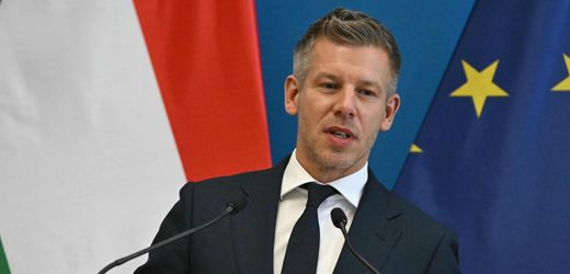 ungarn-peter-magyar-schraenkt-zuzug-von-gastarbeitern-ein.jpg Ungarn: Péter Magyar schränkt Zuzug von Gastarbeitern ein