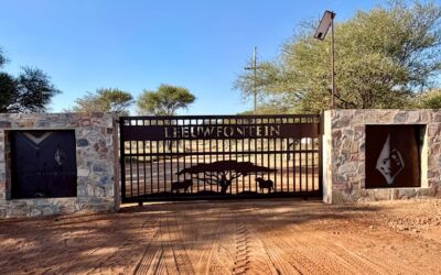 Südafrika: Deutsche Millionärstochter starb an Schüssen aus Jagdgewehr
