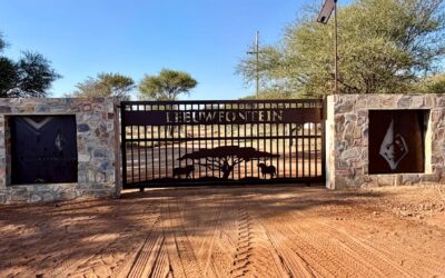 In Südafrika: Neben Reeder-Tochter lag Waffe, neben Manager nicht