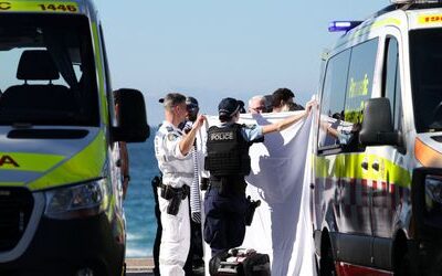 Sydney: Frau bei Hai-Angriff lebensgefährlich verletzt