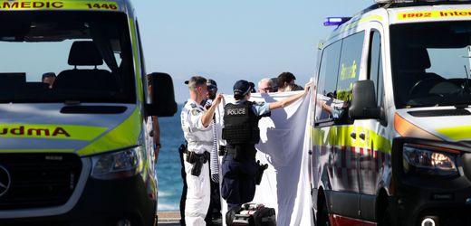 Sydney: Frau bei Hai-Angriff lebensgefährlich verletzt
